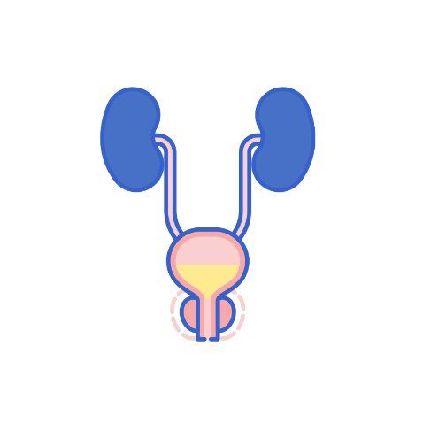 Enlarged Prostate (BPH)