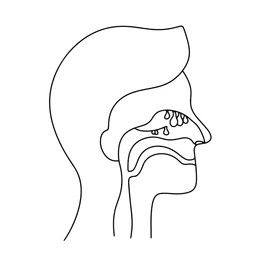 Nasal Polyps