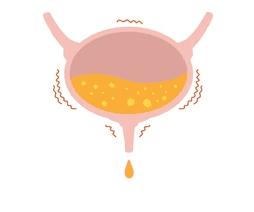 Overactive Bladder