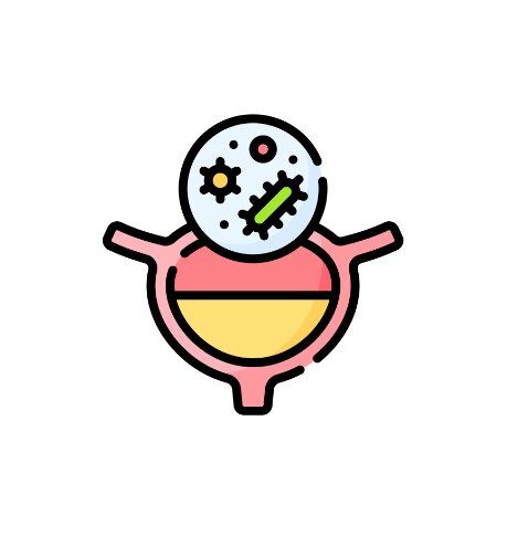 Urinary Tract Infection (UTI)