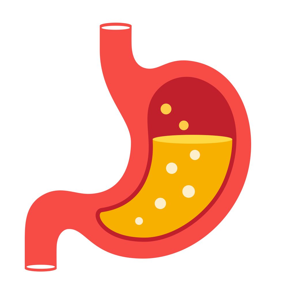 Gastro Problems