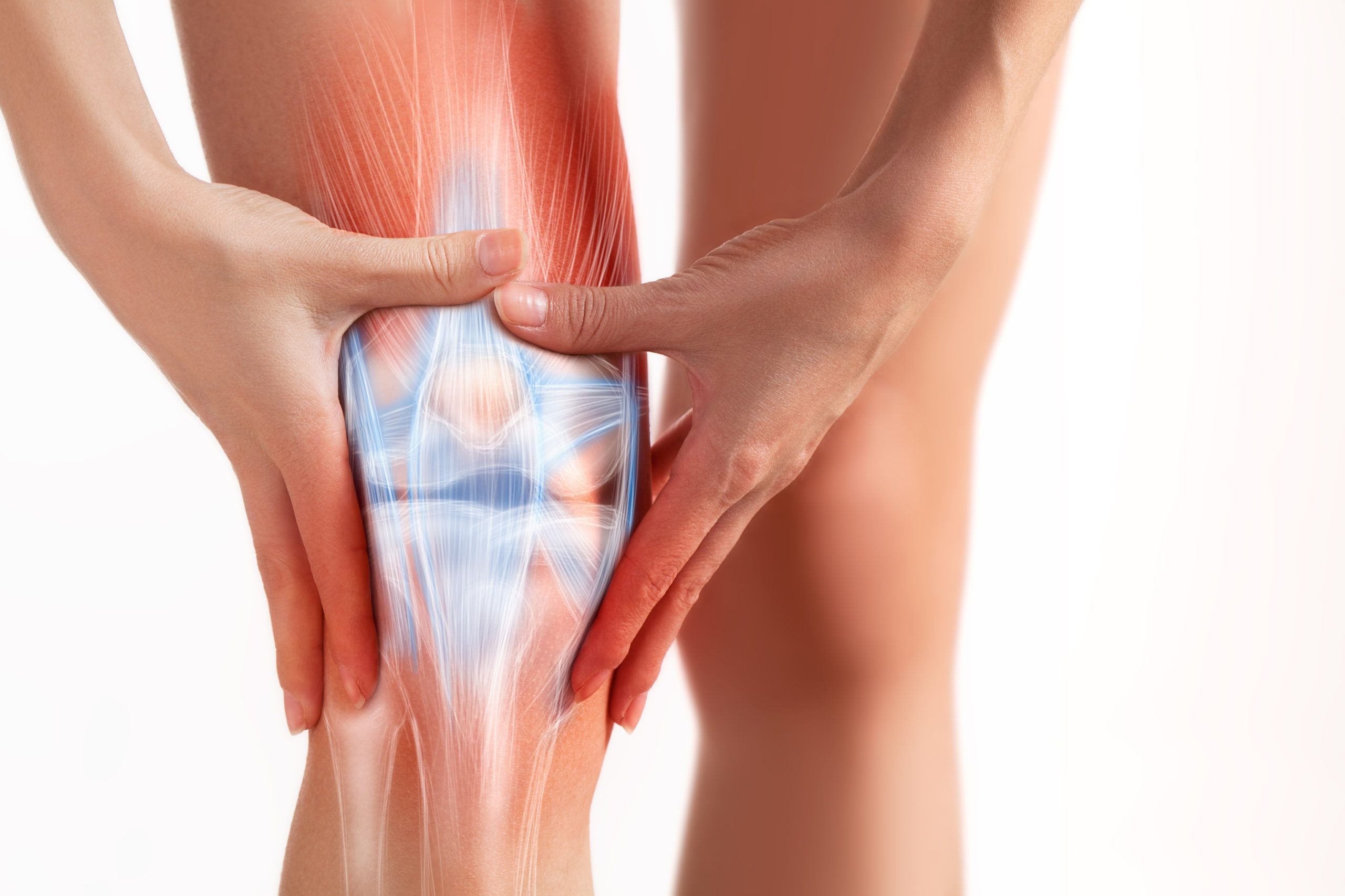 Knee Ligament Injuries